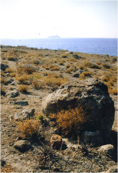 Headland
