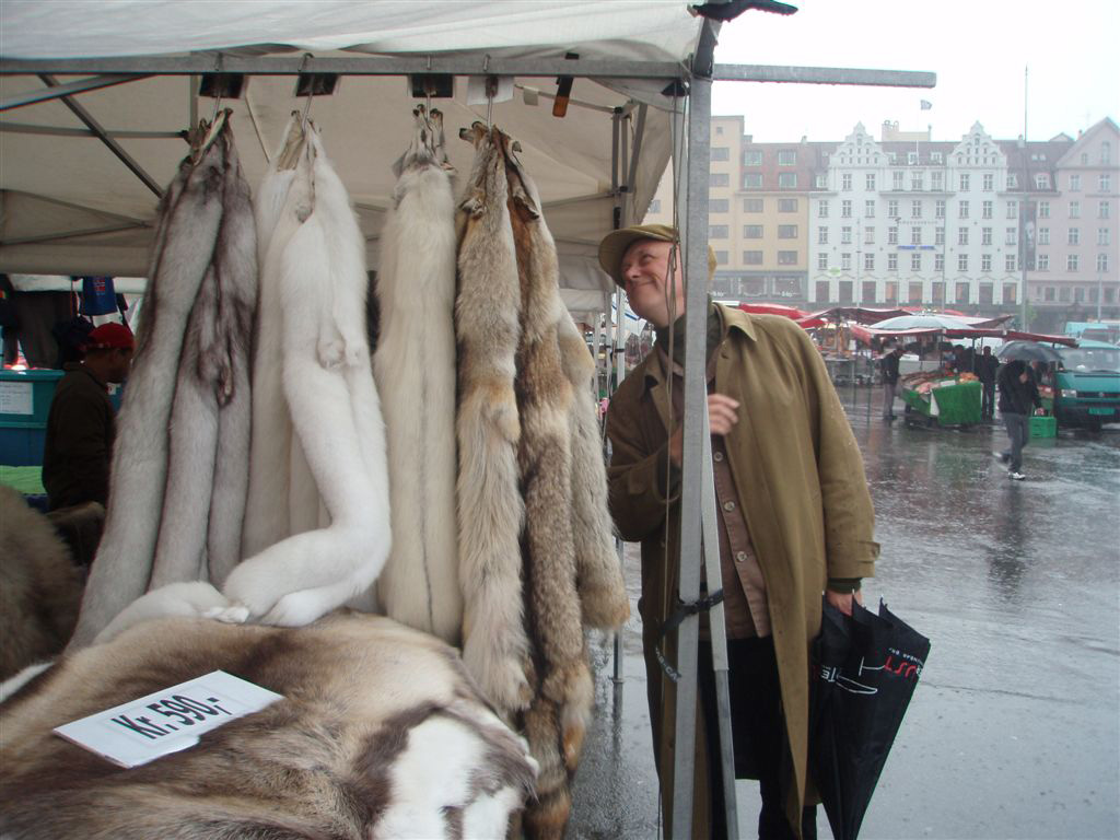 Is this what&rsquo;s meant by &lsquo;pelts with rain&rsquo;?